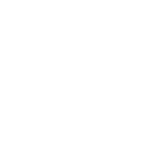 Southern Company logo