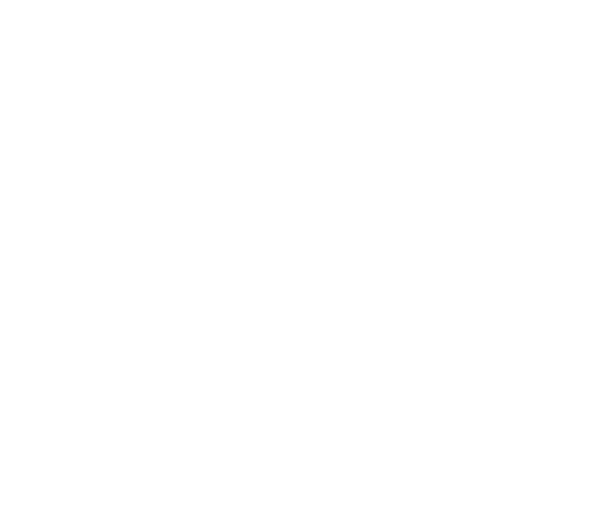 Southern Company logo